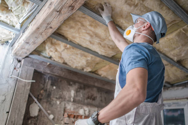 Best Insulation Materials and Products in South Boston, VA