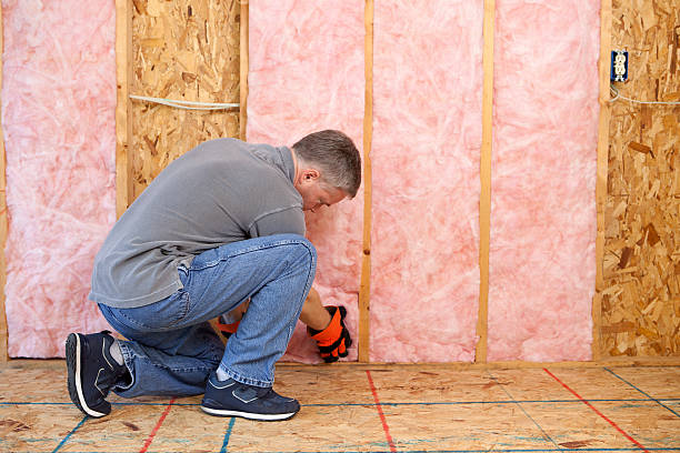 Best Insulation Maintenance and Repair in South Boston, VA